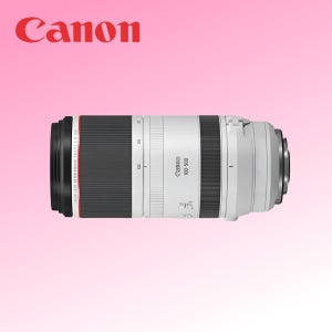 [잠실합정렌즈대여]캐논 RF100-500mm F4.5-7.1 L IS USM 알백오 렌탈