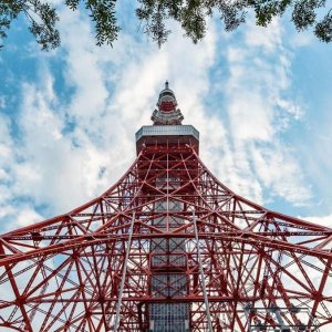 일본 도쿄 타워 전망대 입장권