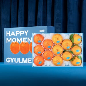 귤메달 종합 선물세트 레드향 한라봉 천혜향 윈터프린스 설날 설 선물 세트