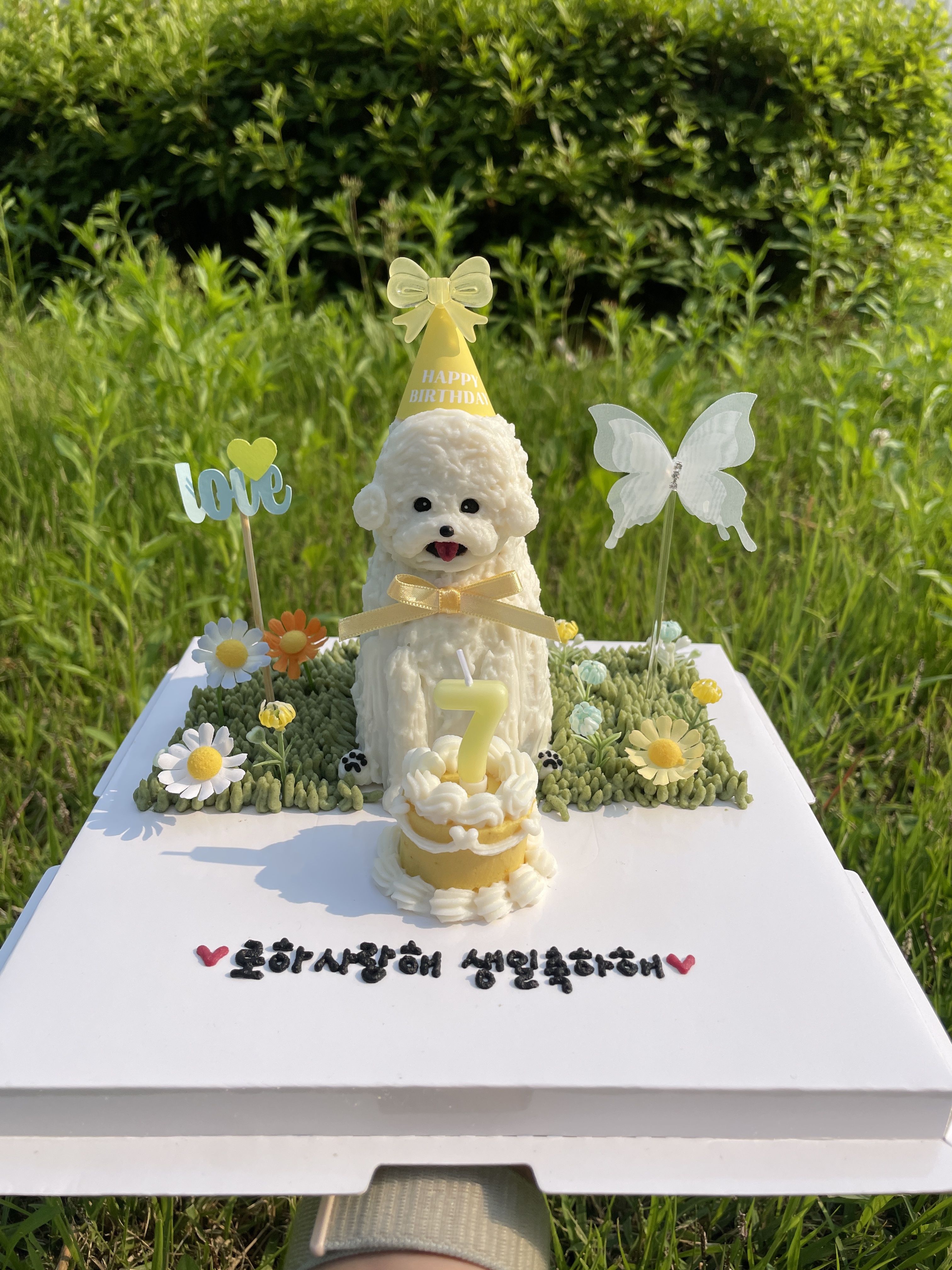 (동절기택배가능) 주문제작 강아지입체케이크 아산강아지 애견케이크 생일파티