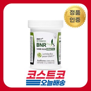 bnr17 최저가 가성비상품