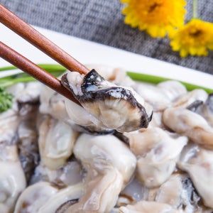 통영 산지직송 제철 생굴 각굴 석화 깐굴 1kg