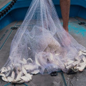 민물 바다 원형고리 경심투망 중형 대형 특대형