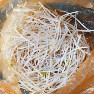 두절 아구찜 국용 콩나물 1kg 업소용/대용량 야채