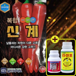 복합신계 고추 1200립 고추종자씨 넘버나인 중조생종 어디서든 강한 고추 칼라 역병 바이러스 중간매움 골드바이오