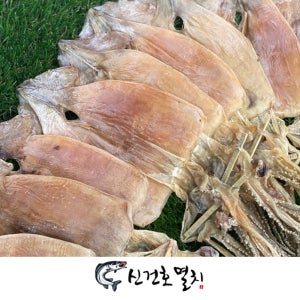 동해안 햇 건오징어 500g 600g 750g (건조 반건조 마른 안주 볶음 조림 반찬)