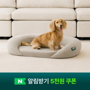 [MONGZE] 몽제 에어네트 펫 베드 (강아지 방석 침대 고양이 쿠션)