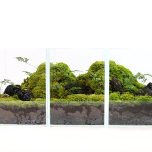 VK 제주동산 테라리움 DIY 키트 테라리움 식물 키우기 재료 비바리움 만들기