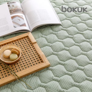 보국전자 에어셀 전기요 온열매트 그린아르데코 BKB-2604S 1인용 싱글사이즈 캠핑 여행