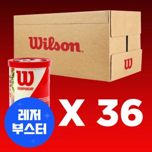 36캔 윌슨 테니스공 시합구 캔볼 72개입