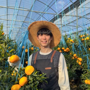 제주 천혜향 프리미엄 고당도 특품 대과 제철 서귀포 천해양 천헤향 못난이 2kg 공항길