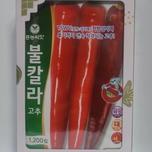 고추종자 불칼라고추 1200립
