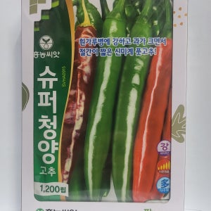 고추씨앗 슈퍼청양 1200립 청양고추종자 다수확