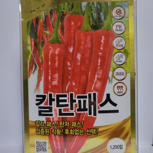 칼탄패스고추 1200립 칼라병탄저병강한 복합내병계고추