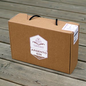 진1937 6년근 홍삼 프리미엄 데일리 순홍삼액 달임액 추출액 아르젠토진 30파우치