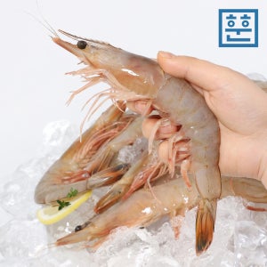훈훈수산 제철 자연산 대하 암 서해 국내산 특대 왕새우 1kg, 1개