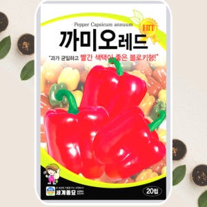 파프리카씨앗 까미오레드 파프리카 종자 20립 세계종묘