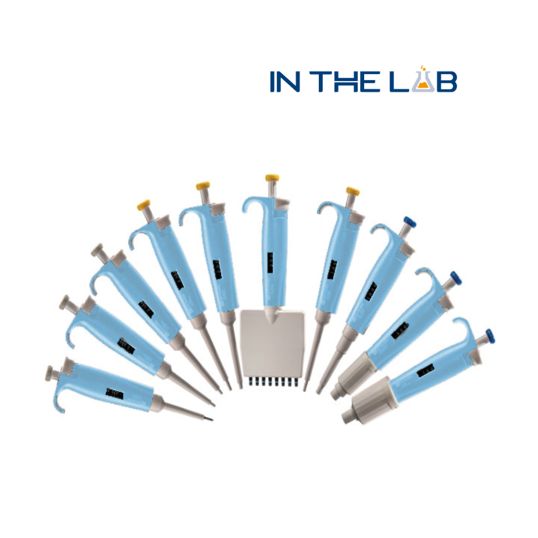 더랩 이미지