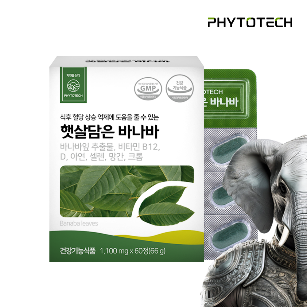 햇살담은 바나바 영양제 바나바잎 추출물 60정