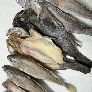 2025추석 반건조생선 개별(민어 참돔 박대 용서대 부세조기 아귀 용서대)