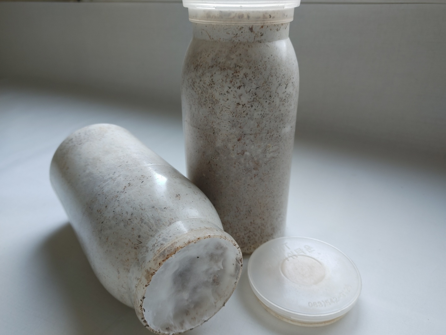 느타리 표고 송화 백화고 성형종균1장 <b>노루궁뎅이</b> 벤처기업직판