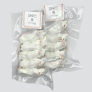 냉동마우스 [중] 10마리 세트 진공포장 냉동쥐 마우스 뱀먹이 파충류먹이 쥐선생
