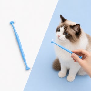 고양이 칫솔 입냄새 치약 양치 치아 양치질