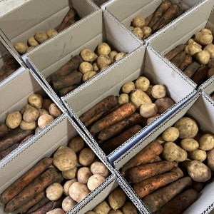 제주 구좌당근+햇감자 혼합 5kg 10kg