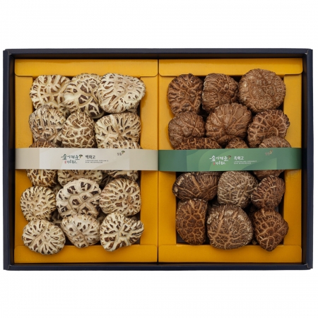 장흥표고 백화고혼합1호(백화고250g/흑화고250g)