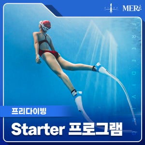 일산 프리다이빙 PADI AIDA 자격 과정 초급 1레벨 1~2레벨 원데이 무제한 패키지