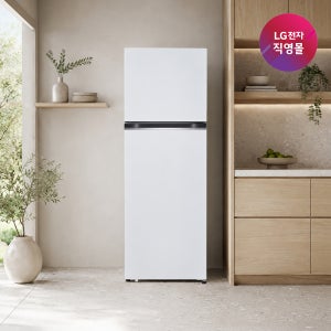 [LG전자 직영]LG 일반냉장고 B332W34