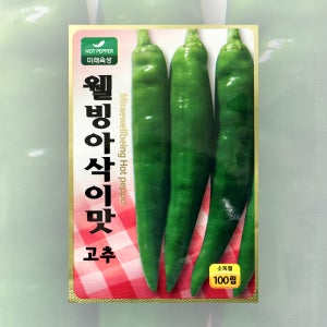 아삭이맛고추씨앗 100립 미래종묘 고추씨앗 오이맛 고추 종자