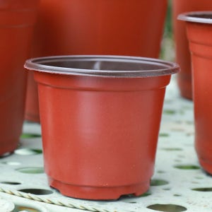 플라스틱 분갈이 다육이 모종 화분 컵포트 이색포트 연질화분 9호