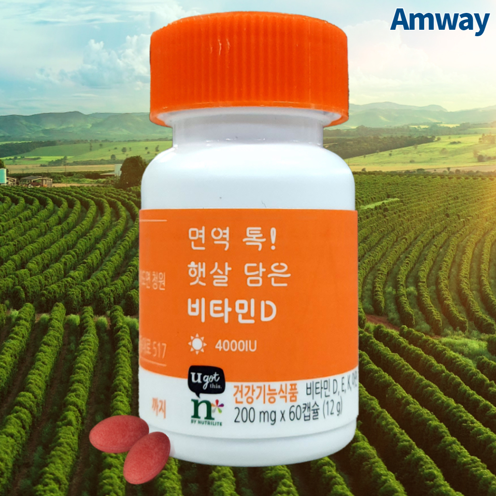 암웨이 비타민D 60캡슐 2개월분 햇살담은 비타민디