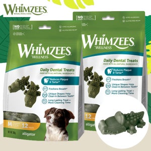 (26/1/1)[N포인트2500원] 윔지스 밸류백 강아지 덴탈껌 악어, M, 2개