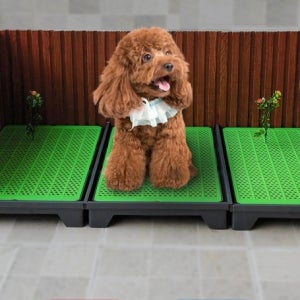 자동 논슬립 배변판 직수 패드 대형견 연습 반려견 하수 유기견 습관 화장실 애견샵 훈련