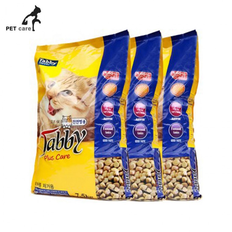 Abyssinian Cat (아비시니안 고양이)