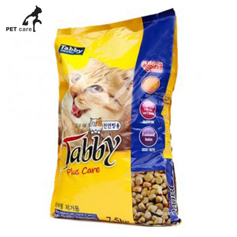 Abyssinian Cat (아비시니안 고양이)