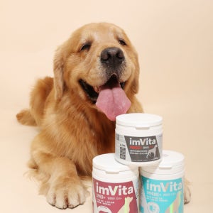 [임비타] 머슬 80g 강아지 근육영양제