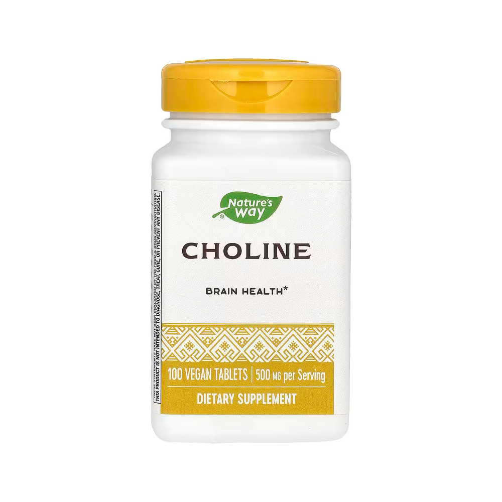 Nature’s Way 콜린 500mg 100정