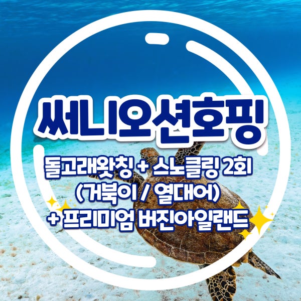 보홀 호핑투어 발리카삭 버진아일랜드 돌고래 보자무싸 써니오션 빅방카 고프로촬영