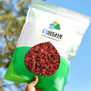 더옹달샘 국산 문경 말린 건오미자 열매 500g 오미자차