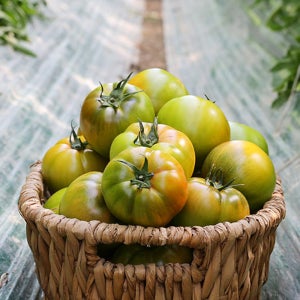 대저토마토 짭짤이 토마토 특품 2.5kg