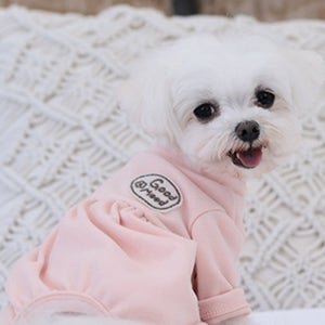 강아지 봄 옷 실내복 말티즈 푸들 올인원 비숑 반려견
