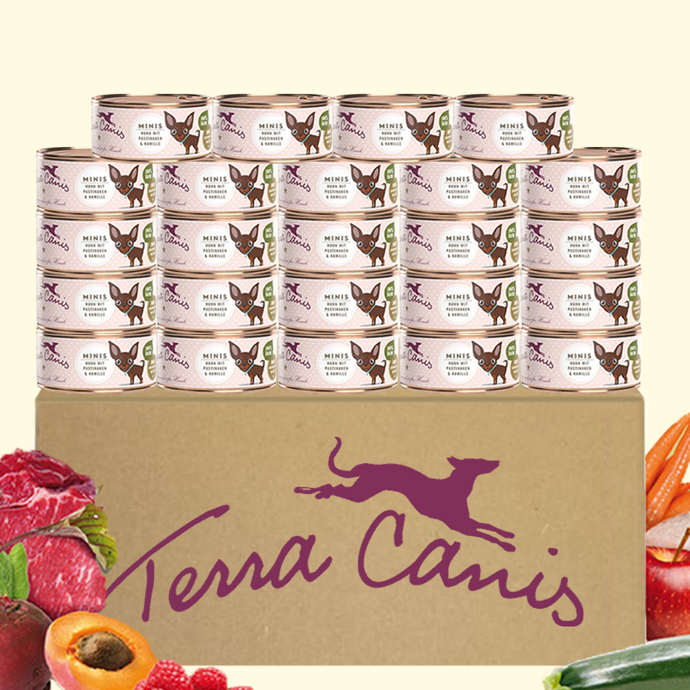 테라카니스 캔 미니 소화잘되는 습식사료 100g x 24개 치킨 파스닙