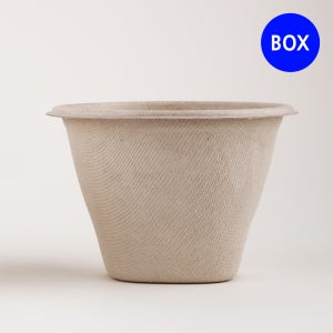 펄프스프컵16oz 박스(1000개)