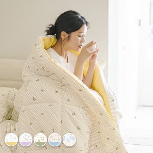 데이프렌치 먼지없는 사계절 차렵이불 SS