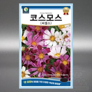 다농 코스모스씨앗 씨셀스 100립 일년생 고급 꽃 씨 종자
