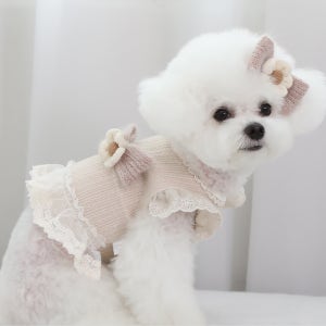 리토가토 입히기편한 벨크로여밈 필리 프릴 크롭 티셔츠 강아지옷 제라미펫