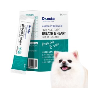 닥터뉴토 강아지 기관지협착증 켁켁거림 기침 강아지감기 강아지종합영양제 240g 1통